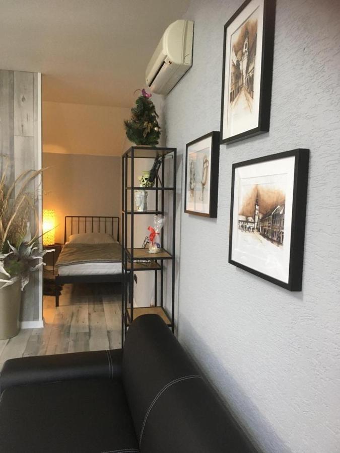 Apartments Renesance บอยนิตแซ ภายนอก รูปภาพ